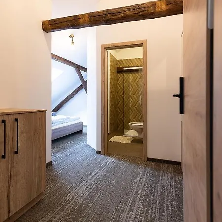 Ξενοδοχείο με διαμερίσματα Apartsee Wellness 3*