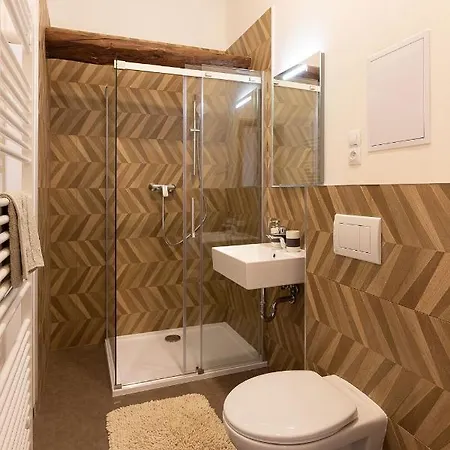 Apartsee Wellness 아파트호텔 플젠